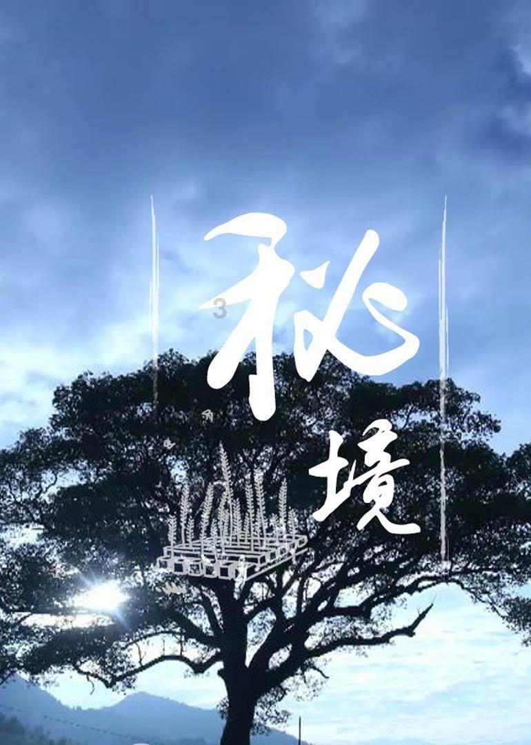 寻找沙漠珍宝