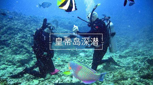 镇魔曲手游